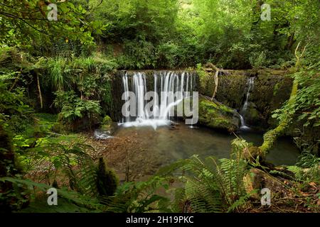 A beautiful waterfall in a forest in Galicia, Spain, known by the name of San Pedro de Incio Stock Photo