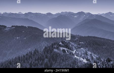 High Ridge Hurricane Ridge Hurricane Ridge atop Olympic National Park, Washington State, USA Stock ...