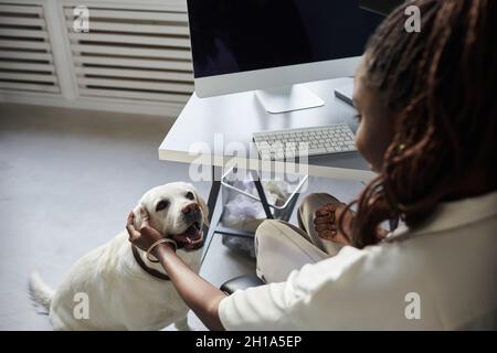 High angle view at young African-American woman petting dog while working in pet friendly office, copy space Stock Photo