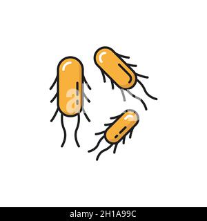 Positive bacterium, healthy organism chemical microbes isolated line icon. Vector probiotics or lactobacillus bifidobacterium. Gastrointestinal therap Stock Vector