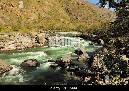 A winding bed of a mountain river with clear water, a stormy stream flowing along the bottom of a narrow canyon. Chulyshman River, Altai, Siberia, Rus Stock Photo