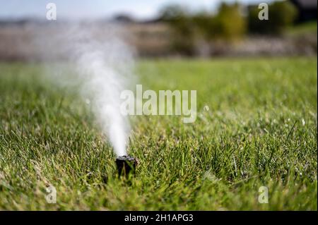 winterizing a irrigation sprinkler system by blowing pressurized air through to clear out water Stock Photo