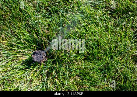 winterizing a irrigation sprinkler system by blowing pressurized air through to clear out water Stock Photo