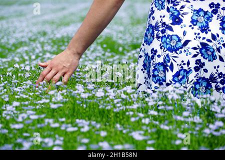 Girl in blue dress stands in linen field and touches blooming flax Stock Photo