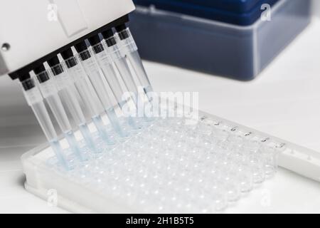 Pipette depositing samples into a 96 well micro-plate Stock Photo