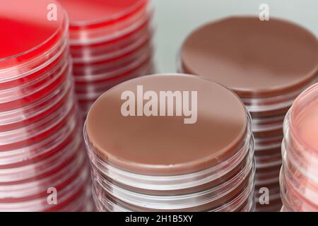 Red and brown petri dishes stacks in microbiology lab. Focus on stacks. Stock Photo