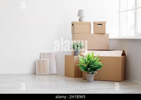 Stack of many different cardboard boxes with goods and green plants in pots on floor on white wall background Stock Photo