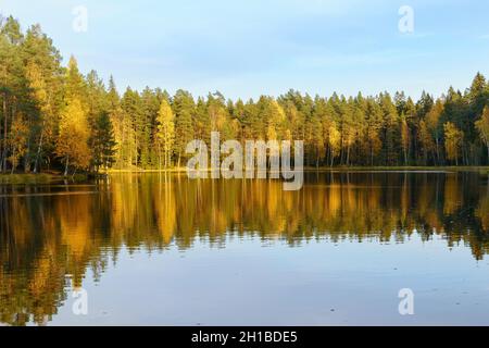 Autumn view with forest lake on sunset. Yellow trees and clear blue sky reflecting in still water Stock Photo