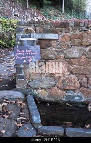 dh  ST MARTIN GUERNSEY Animal dog friendly watering hole station dogs drinking water bucket Stock Photo