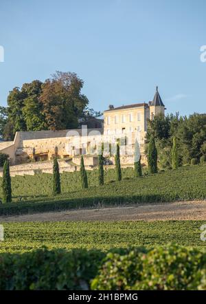 Ripe red grapes on rows of vines in vienyard of Clos La Madeleine  before the wine harvest in Saint Emilion region. France Stock Photo