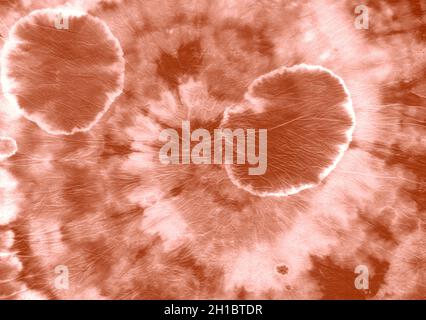 Red Dyeing Pattern. Swirl Water Dress. Color Stock Photo