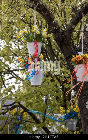 Noordwijkerhout, Netherlands - April 23,  2017: Decorations with hanging pails with yellow daffodils at the traditional flowers parade Bloemencorso fr Stock Photo