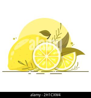 Lemon slices with leaves. Whole lime and cut pieces Stock Vector