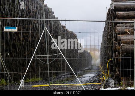 BAD WILDUNGEN, HESSEN, GERMANY - OKTOBER 30, 2018: Wood yard business. Wood stacked outdoors. Concept forest industry environment. Felled tree trunks Stock Photo