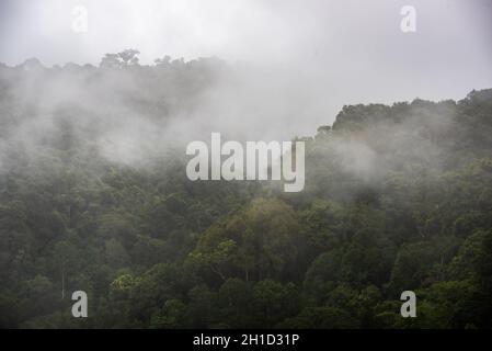 Misty mountain landscape hills at rainy day Stock Photo