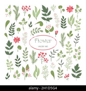 Vector floral set with plants and flowers Stock Vector