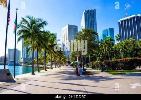 Miami, USA - November 30, 2019: People resting at Bayfront Park with palm trees at Miami Stock Photo