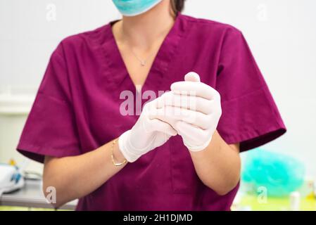 Unrecognizable female Veterinarian, putting on gloves . Stock Photo