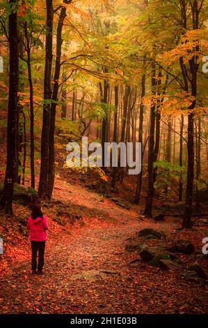 Autumn in Cozia, Carpathian Mountains, Romania. Vivid fall colors in a misty forest during a autumn light rain. There are people on a path Stock Photo