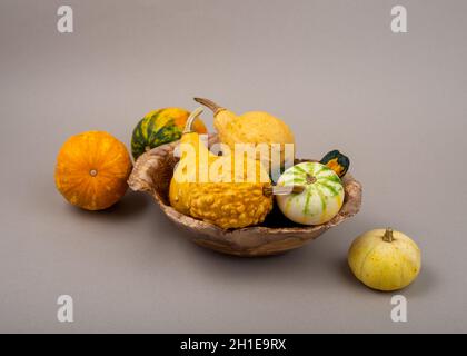 Ceramic bowl with small decorative pumpkins. Orange pumpkins on beige background. Stock Photo