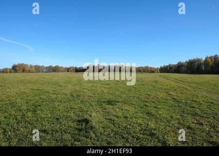 Beautiful countryside landscape with large green field and deciduous forest at far under white clouds on blue sky in the autumn day Stock Photo