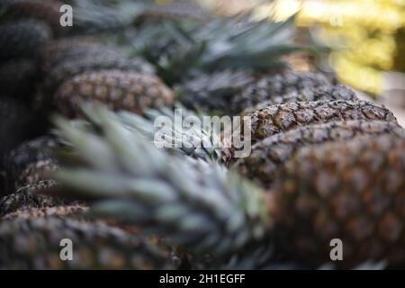 salvador, bahia / brazil - march 16, 2017: Pineapple is seen for sale at the Sao Joaquim Fair in the city of Salvador. *** Local Caption ***  . Stock Photo