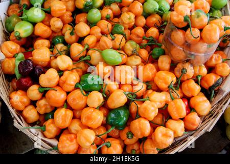 salvador, bahia / brazil - april 18, 2013: Peppers at the Feira de Sao Joaquim, in the city of Salvador. *** Local Caption ***      . Stock Photo