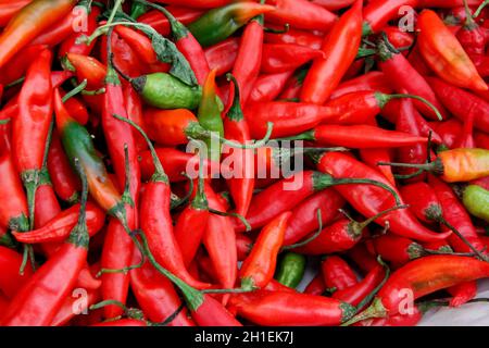 salvador, bahia / brazil - april 18, 2013: Peppers at the Feira de Sao Joaquim, in the city of Salvador. *** Local Caption ***      . Stock Photo