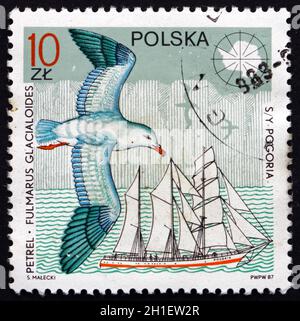POLAND - CIRCA 1987: a stamp printed in Poland shows Southern Fulmar, Fulmarus Glacialoides, and Yacht Pogoria, circa 1987 Stock Photo