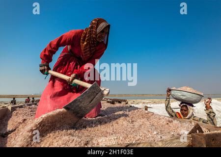 SAMBHAR, INDIA - NOVEMBER 19, 2012: Women mining salt at lake Sambhar, Rajasthan, India. Sambhar Salt Lake is India's largest inland salt lake Stock Photo