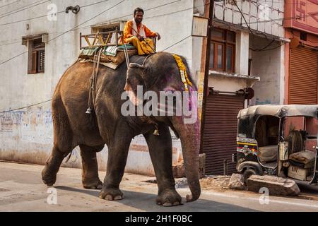 UJJAIN, INDIA - APRIL 23, 2011: Mahout riding elephant in city street in India Stock Photo