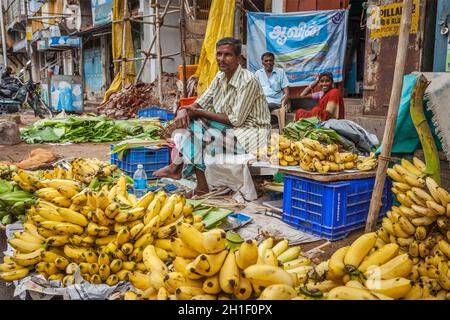 TIRUCHIRAPALLI, INDIA - FEBRUARY 14, 2013: Unidentified Indian man - hawker (street vendor) of bananas Stock Photo