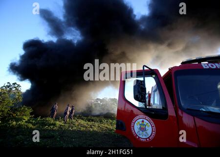 salvador, bahia / brazil - december 28, 2017: Fire Department members fight fire in native forest in the city of Salvador.  *** Local Caption ***   . Stock Photo