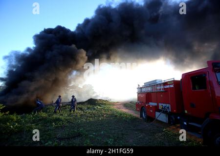salvador, bahia / brazil - december 28, 2017: Fire Department members fight fire in native forest in the city of Salvador.  *** Local Caption ***   . Stock Photo