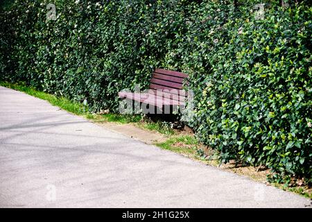 Wooden bench embedded inside the green plants and ivy near the pathway made of asphalt. Translation of words existing on bench is 'Bursa municipality' Stock Photo