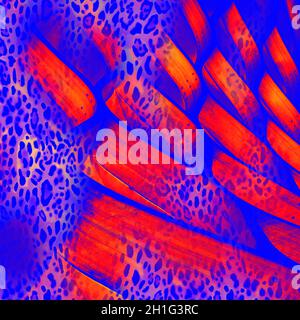 textile fabric print designs, fashion dress patterns Stock Photo