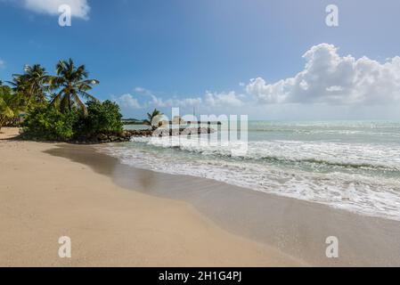 Le Gosier, Guadeloupe - December 20, 2016: Paradise tropical beach and palm trees, the Gosier in Guadeloupe island, Caribbean. Travel, Tourism and Vac Stock Photo