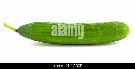 Long green cucumber isolated on white background. Fresh vegetables. Stock Photo