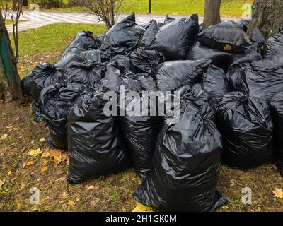 Lots of Black Trash Bags with Autumn Leaves in Them Around a Tree