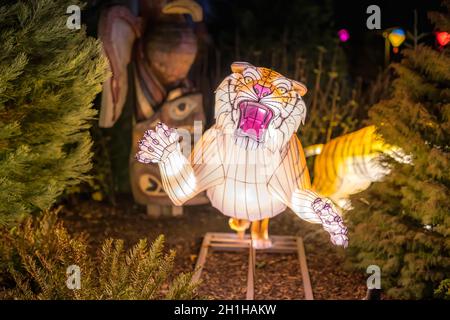 Dublin, Ireland, November 2018 Wild lights at Dublin zoo. Light displays of African animals Stock Photo