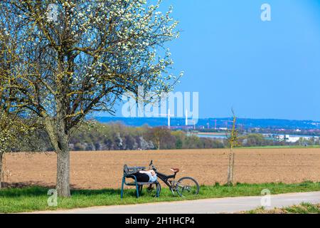 cyclist takes a nap under a blossoming apple tree in spring Stock Photo