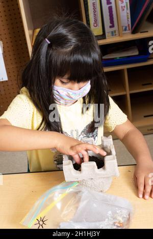 Education Preschool 3-4 year olds girl watering bean plant grown from sprouted seed wearing face mask to protect against Covid-19 infection Stock Photo