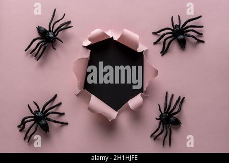 Pink ripped paper with burst hole background with spiders. Minimal Halloween concept. Stock Photo
