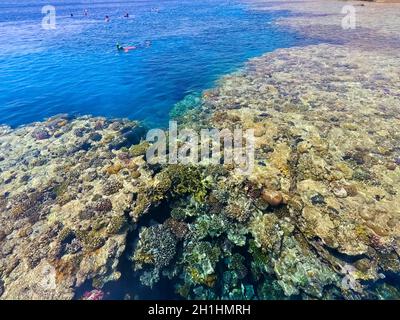 The people snorkeling in blue waters above coral reef on red sea in Sharm El Sheikh, Egypt. Stock Photo