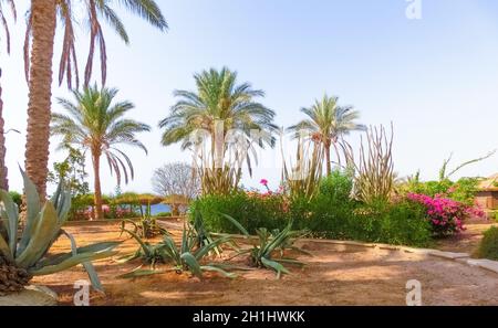 Sharm El Sheikh, Egypt - September 14, 2020: Hotel Siva Sharm, ex Savita Resort, 5 stars at Sharm El Sheikh, Egypt on September 14, 2020 Stock Photo