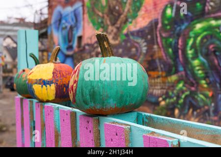 Three Pumpkins on Pink Blue Fence Stock Photo