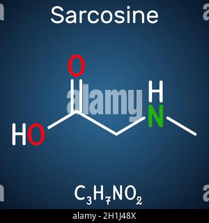 Sarcosine, N-methylglycine, N-alkylglycine molecule. It is amino acid derivative, conjugate acid of sarcosinate. Structural chemical formula on the da Stock Vector