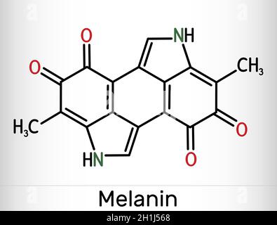 Melanin molecule. Structural chemical formula and molecule model on the ...
