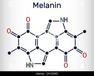 Melanin  molecule. Polymers of tyrosine derivatives found in and causing darkness in skin (skin pigmentation) and hair. Skeletal chemical formula.Vect Stock Vector