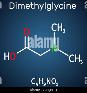 Dimethylglycine, DMG, molecule. It is derivative of the amino acid glycine. Structural chemical formula on the dark blue background. Vector illustrati Stock Vector